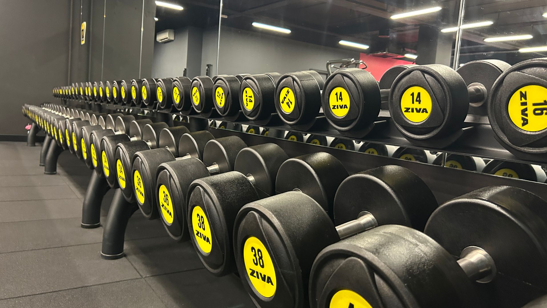 Fitness for Seniors: Easy, Affordable and Actually Effective