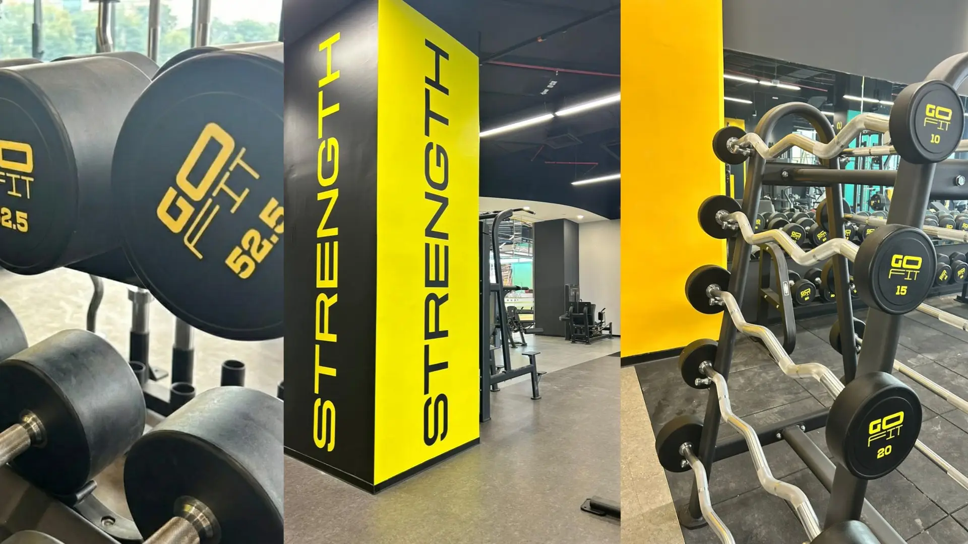 Affordable Gym in Sunway: Why Students and Working Adults Are Choosing GoFit Sunway Square